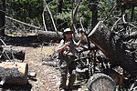photo thumbnail #12