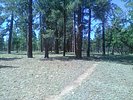 recent photo