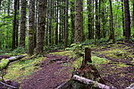 photo thumbnail #7
