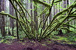 photo thumbnail #11