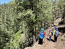 photo thumbnail #2