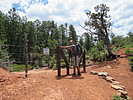 photo thumbnail #6