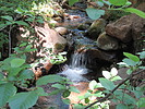 photo thumbnail #12