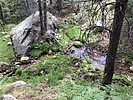 photo thumbnail #2