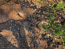2020-06-13 :1: Highline - AZT #26 :: johnlp
