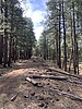 photo thumbnail #2