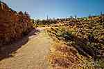 photo thumbnail #9