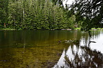 photo thumbnail #11