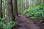 photo thumbnail #9