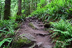 photo thumbnail #11