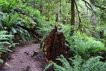 photo thumbnail #12