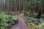 photo thumbnail #13