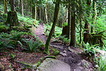 photo thumbnail #6