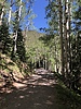 photo thumbnail #4