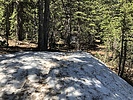 photo thumbnail #6