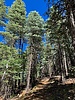 photo thumbnail #7