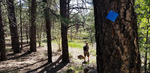 photo thumbnail #6