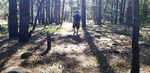 photo thumbnail #7