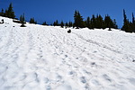 photo thumbnail #15