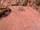 photo thumbnail #6