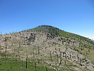 photo thumbnail #10