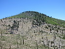 photo thumbnail #11