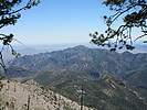 photo thumbnail #14