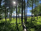 photo thumbnail #1