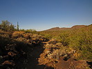 photo thumbnail #3