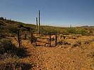 photo thumbnail #4