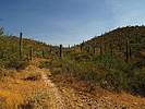 photo thumbnail #8