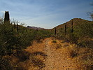 photo thumbnail #11