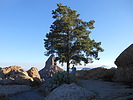 photo thumbnail #8