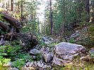 2020-06-18 :1: Kehl Canyon :: kingsnake