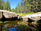 2020-06-18 :1: Kehl Canyon :: kingsnake