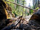 2020-06-18 :1: Kehl Canyon :: kingsnake
