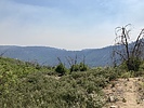 photo thumbnail #8