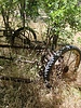 photo thumbnail #2