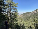 photo thumbnail #3