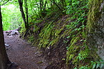 photo thumbnail #10