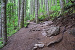 photo thumbnail #11