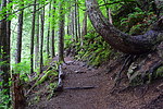 photo thumbnail #12