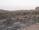 photo thumbnail #5