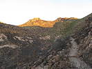 photo thumbnail #15