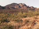 photo thumbnail #5