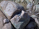 Featured Detail Photo