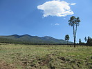 photo thumbnail #7