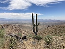 photo thumbnail #6