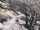photo thumbnail #4