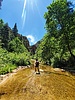photo thumbnail #12
